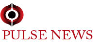 citypulsenews